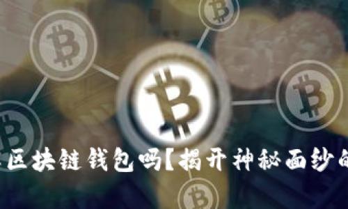 你真的了解区块链钱包吗？揭开神秘面纱的四大秘密！