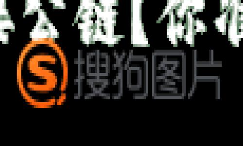 区块链钱包如何完美对接公链？你准备好解锁这些秘密了吗？