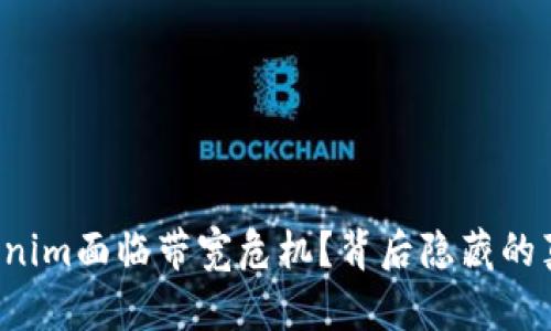 为什么Tokenim面临带宽危机？背后隐藏的真相是什么？