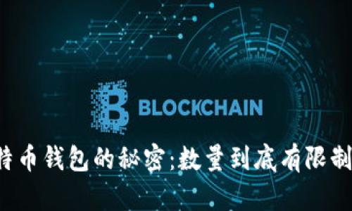 比特币钱包的秘密：数量到底有限制吗？