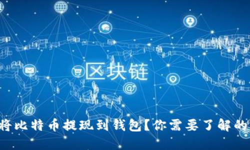 如何轻松将比特币提现到钱包？你需要了解的关键步骤！