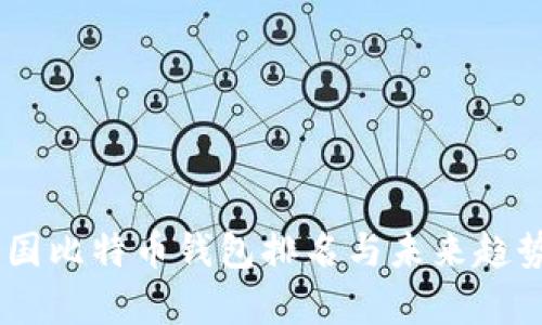 size揭秘：中国比特币钱包排名与未来趋势的深度解析