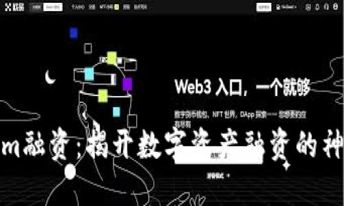 Tokenim融资：揭开数字资产融资的神秘面纱