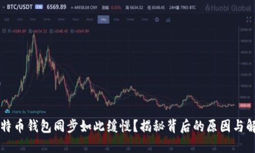为何比特币钱包同步如此缓慢？揭秘背后的原因与解决方案