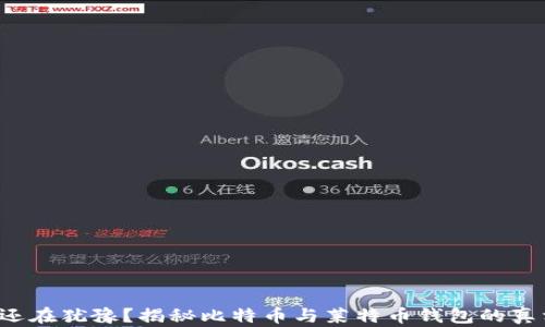 
你还在犹豫？揭秘比特币与莱特币钱包的真相！