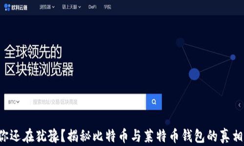 
你还在犹豫？揭秘比特币与莱特币钱包的真相！