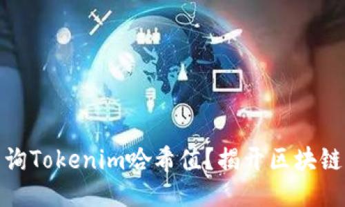 如何轻松查询Tokenim哈希值？揭开区块链的神秘面纱