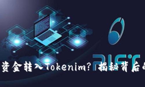 如何轻松将资金转入Tokenim? 揭秘背后的操作流程！