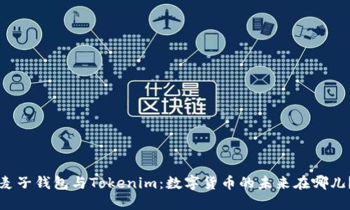 麦子钱包与Tokenim：数字货币的未来在哪儿？
