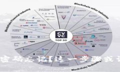 Tokenim支付密码忘记？这一