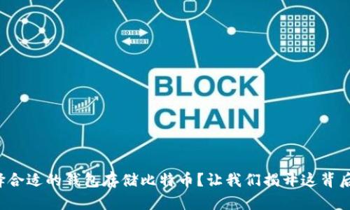 如何选择合适的钱包存储比特币？让我们揭开这背后的秘密！