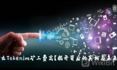 为什么Tokenim矿工费高？揭