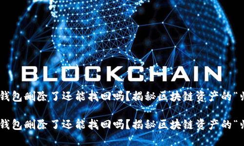 Tokenim钱包删除了还能找回吗？揭秘区块链资产的“归还之路”

Tokenim钱包删除了还能找回吗？揭秘区块链资产的“归还之路”