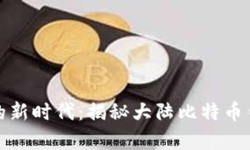 踏入数字财富的新时代：揭秘大陆比特币钱包的神秘面纱
