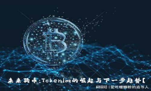 未来狗币：Tokenim的崛起与下一步趋势？