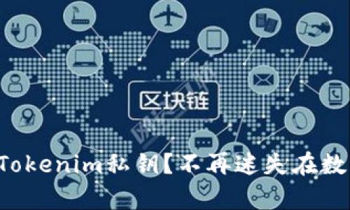 如何恢复遗忘的Tokenim私钥？不再迷失在数字资产的海洋中！