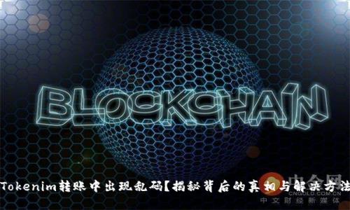 Tokenim转账中出现乱码？揭秘背后的真相与解决方法