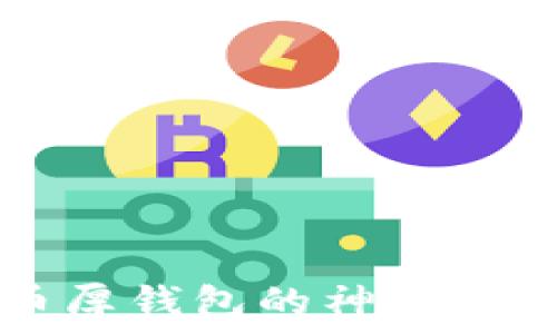   
让我们揭开比特币厚钱包的神秘面纱，你准备好了吗？