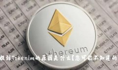 货币无法提到Tokenim的原因