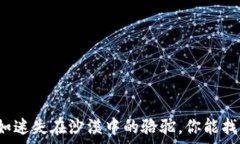   当比特币转账如迷失在沙