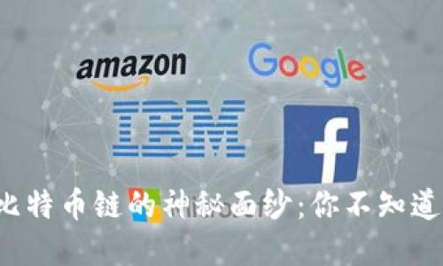 揭开TP钱包与比特币链的神秘面纱：你不知道的秘密是什么？